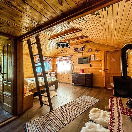 Chalets Du Bf 锡吉什瓦拉 外观 照片