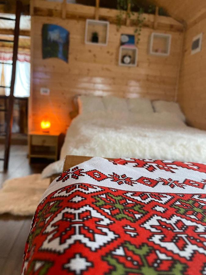 Chalets Du Bf 锡吉什瓦拉 外观 照片