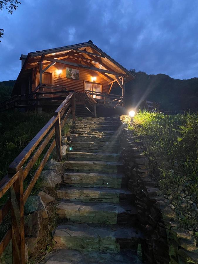Chalets Du Bf 锡吉什瓦拉 外观 照片