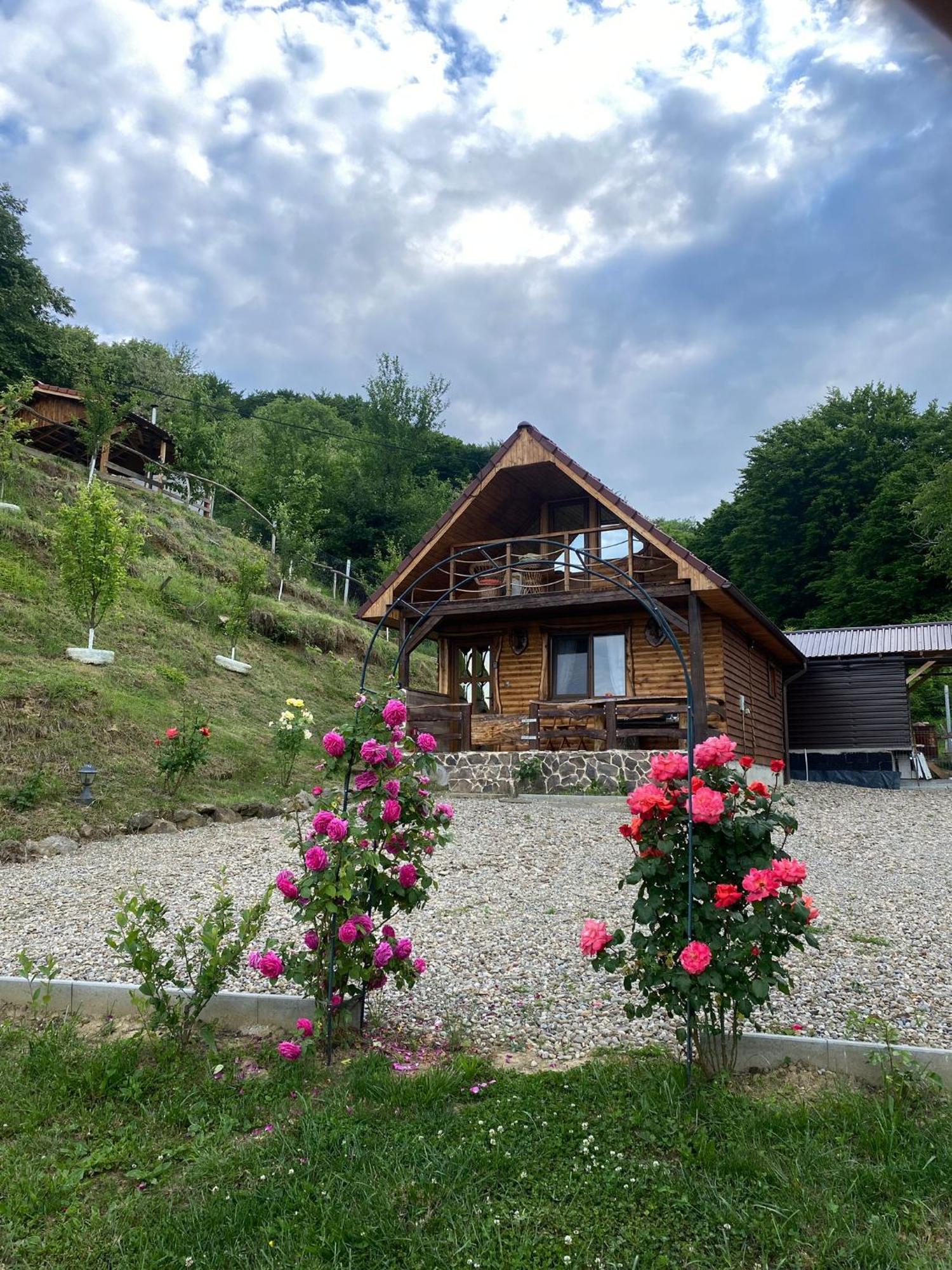 Chalets Du Bf 锡吉什瓦拉 外观 照片